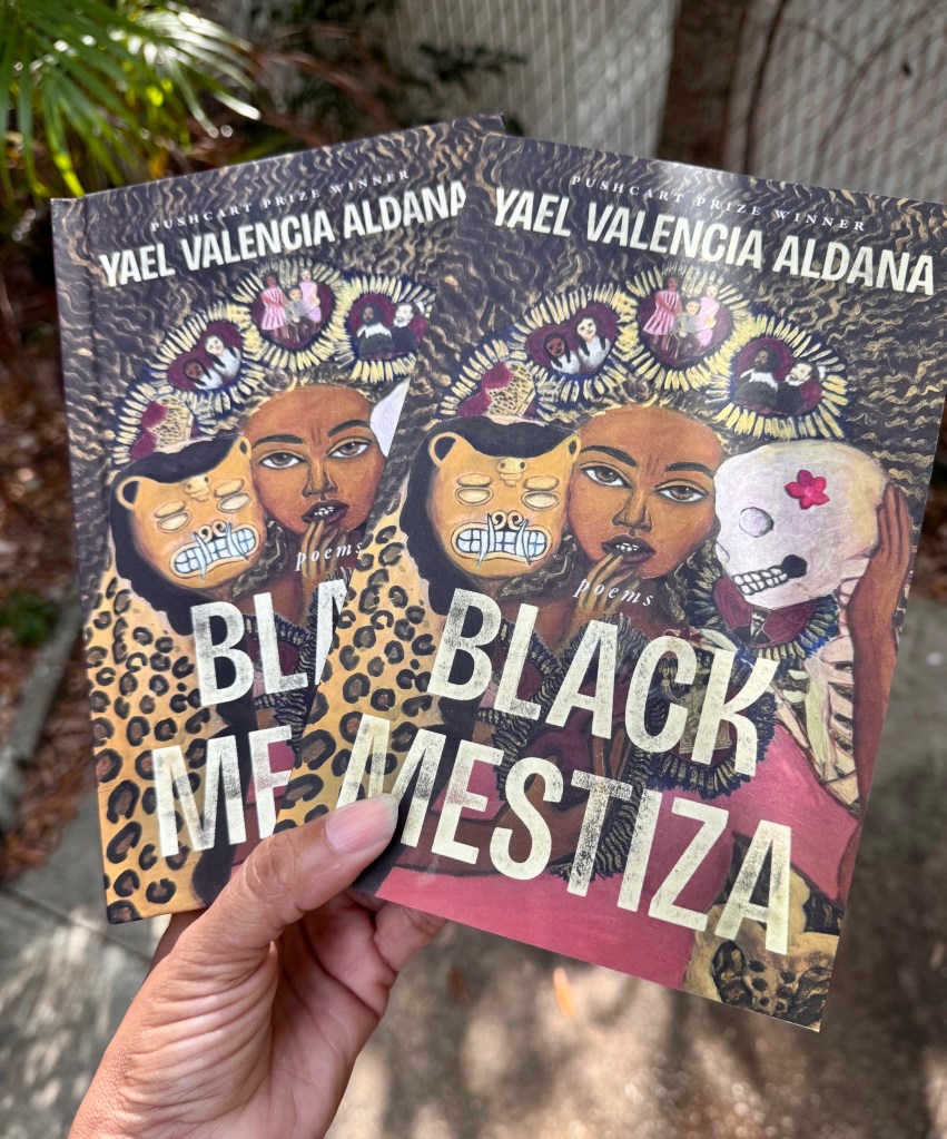 A brown book cover of poetry book titled Black Mestiza